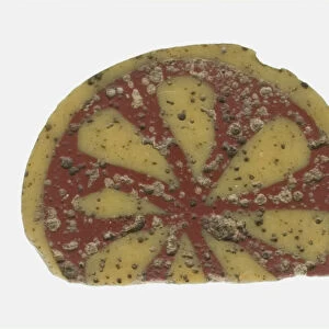 Fragment of an Inlay Depicting a Rosette, 1st century BCE-1st century CE