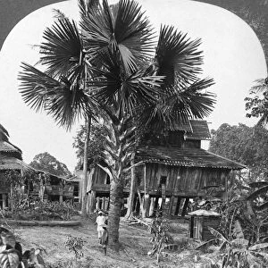 Native house built on piles, Bhamo, Burma, 1908. Artist: Stereo Travel Co