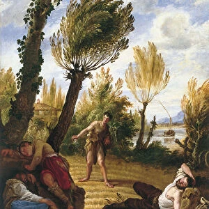 The Parable of the Wheat and the Tares. Artist: Fetti, Domenico (1588 / 90-1623)