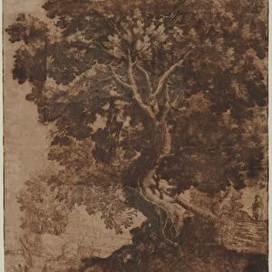Tree in a Landscape, mid 17th century. Creator: Ercole Bazicaluva (Italian, c. 1610-1661)