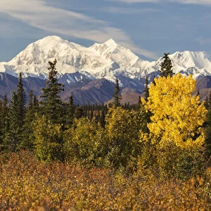Denali, Viewed From South Of Cantwell, From The Parks Highway In Interior Alaska; Alaska, United States Of America
