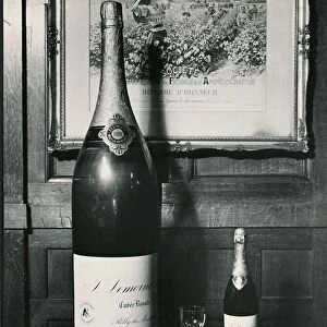 Nebuchadnezzar of Champagne which contains 20 normal size bottles of Champagne