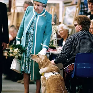 Queen Elizabeth II visits Manchester. The Queen pats a dog at Hopwood Hall