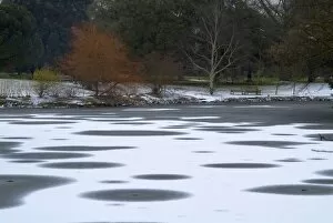 the Lake freezes