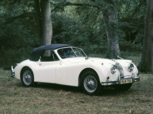 1954 Jaguar XK140