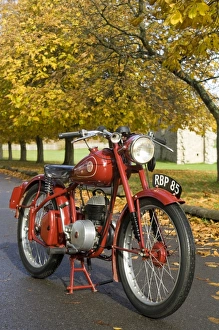 1954 James Cadet