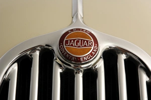 1955 Jaguar XK140