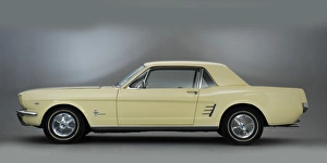 1966 Ford Mustang 289