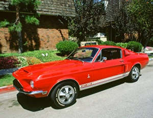 Images Dated 2008: 1969 Ford Mustang Shelby
