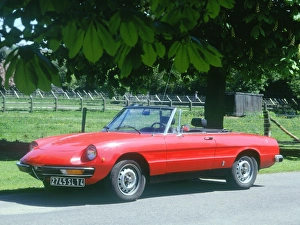 1974 Alfa Romeo