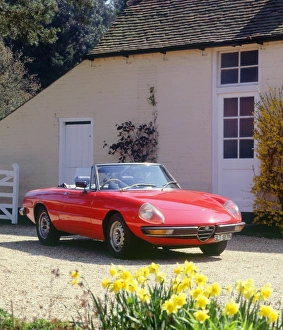 1975 Alfa Romeo