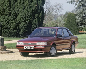 Images Dated 2009: 1984 Austin Montego