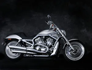 Trending: 2002 Harley Davidson V Rod
