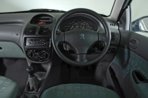 Green Prints: 2002 Peugeot 206