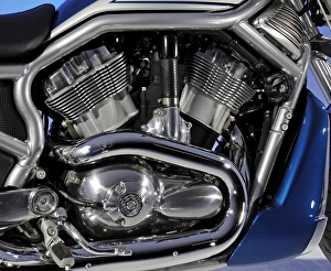 2005 Harley Davidson