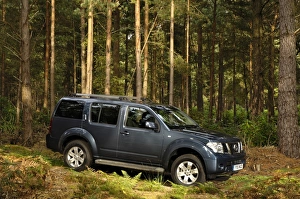 2005 Nissan Pathfinder
