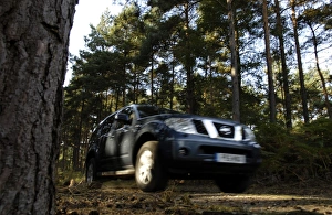 Images Dated 2005: 2005 Nissan Pathfinder