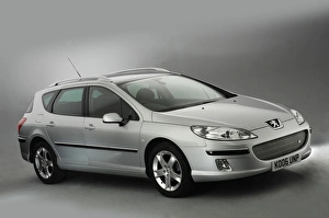 Images Dated 1st August 2008: 2006 Peugeot 407 SW