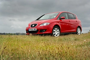 2006 Prints: 2006 SEAT Toledo