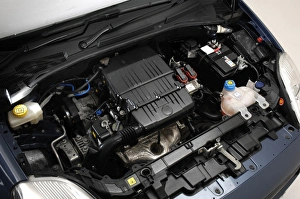 2008 Fiat Punto