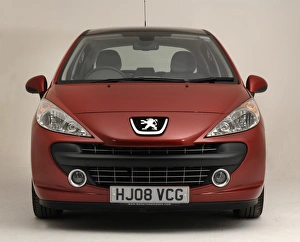 Head On Prints: 2008 Peugeot 207