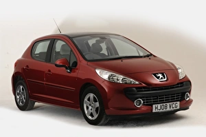 Images Dated 2010 May: 2008 Peugeot 207