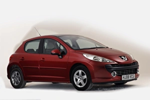 2008 Peugeot 207