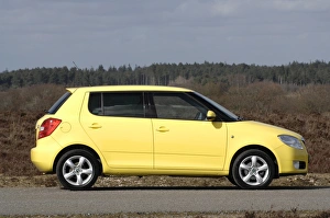 Profile Prints: 2008 Skoda Fabia 2