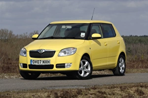 Images Dated 2008 March: 2008 Skoda Fabia 2