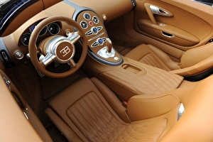 2009 Bugatti Veyron Sang Bleu