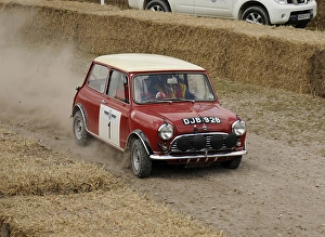 2009 Morris Mini