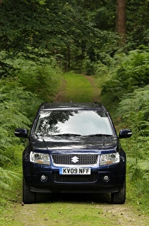 2009 Suzuki Grand