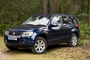 2009 Suzuki Grand