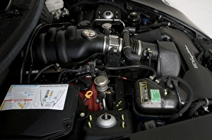 Images Dated 2010 August: 2010 Alfa Romeo