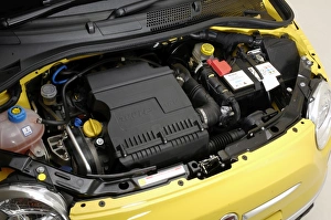 Images Dated 2010 August: 2010 Fiat 500