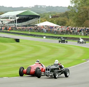 2011 Goodwood Revival