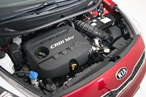 Hatchback Prints: 2013 Kia Rio