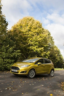 Images Dated 2013 November: 2013 model Ford Fiesta Econetic