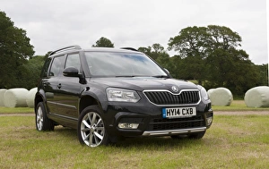 Images Dated 2014 June: 2014 Skoda Yeti SE