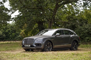 Images Dated 2017 August: 2017 Bentley Bentayga