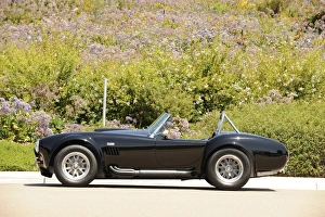 Images Dated 2008 May: AC Cobra 427 1966