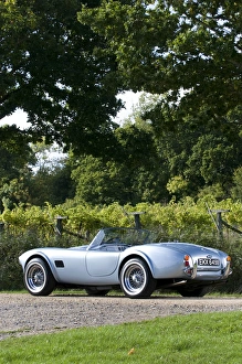 Images Dated 2010: AC Cobra MK2 289 1964
