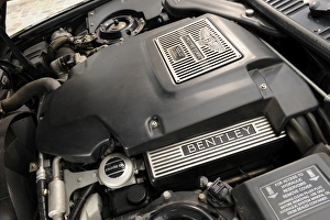 Images Dated 2008: Bentley Continental engine 2001