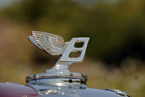 Bentley Continental Badge