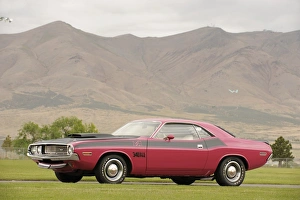 American Car Prints: Dodge Challenger