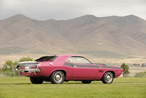 American Car Prints: Dodge Challenger