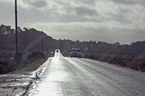 Driving on country road against the low winter sunshine Driving on country road against the low winter sunshine