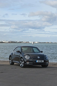 E01186 Volkswagen Beetle