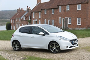 Images Dated 2014 March: E01519 2014 Peugeot 208