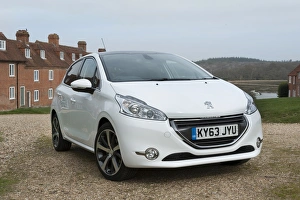 Images Dated 2014 March: E01519 2014 Peugeot 208
